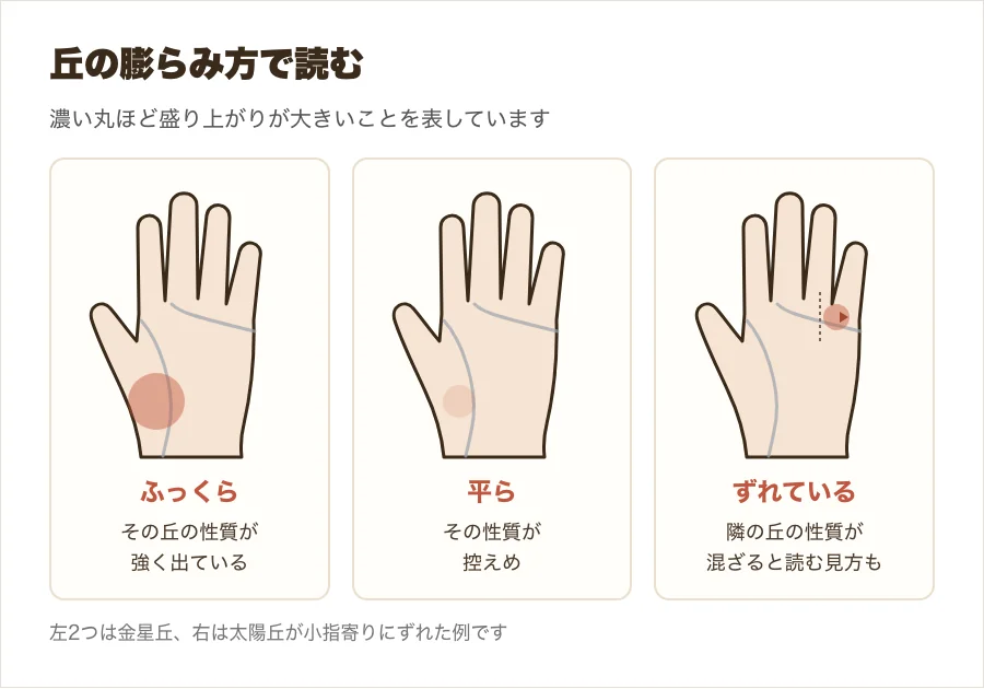 丘の膨らみ方（ふっくら・平ら・ずれている）を比べた図