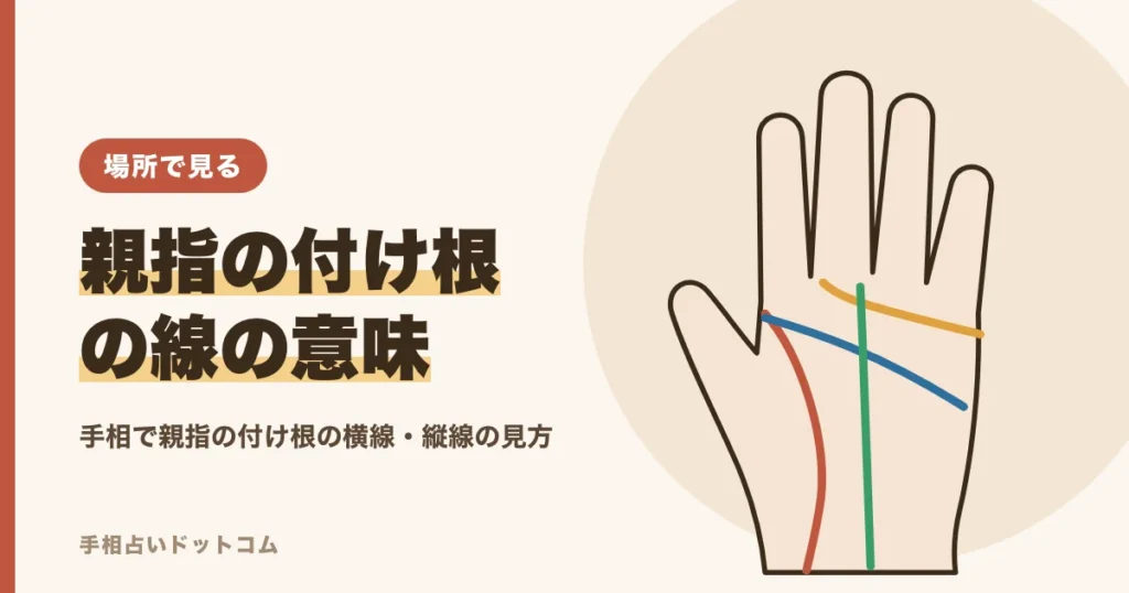 手相で親指の付け根の線の意味｜横線がたくさんある時の見方