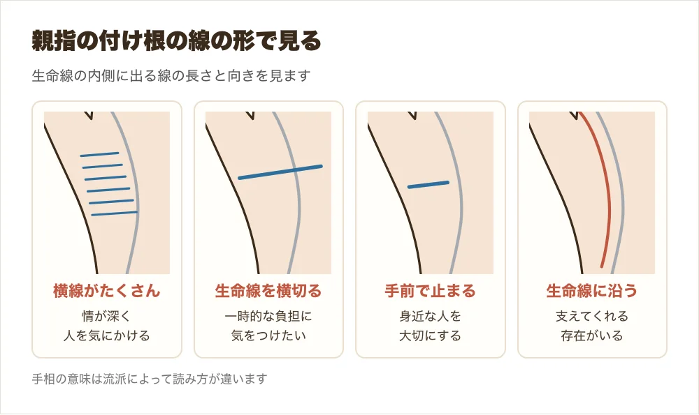 親指の付け根の横線の形の違い、細い横線がたくさん・生命線を横切る長い横線・生命線の手前で止まる横線・生命線に沿う縦線の4つを並べた図解