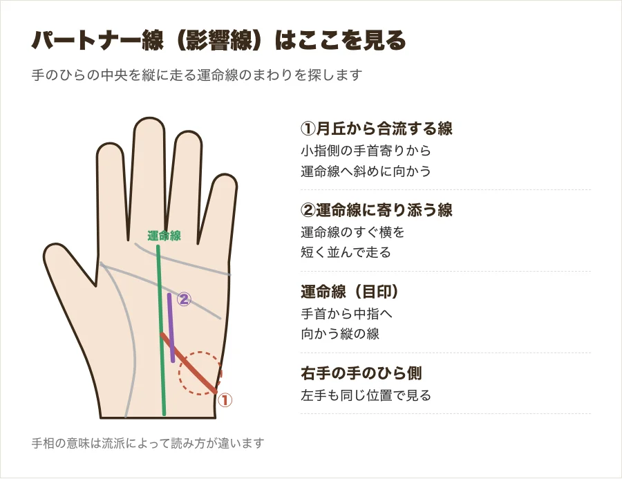 手相のパートナー線(影響線)の位置を示した図解。月丘から運命線に合流する線と、運命線に寄り添う線