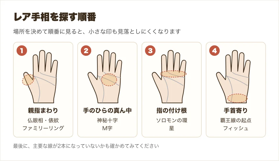親指まわり、手のひらの真ん中、指の付け根、手首寄りの順にレア手相を探す手順の図解