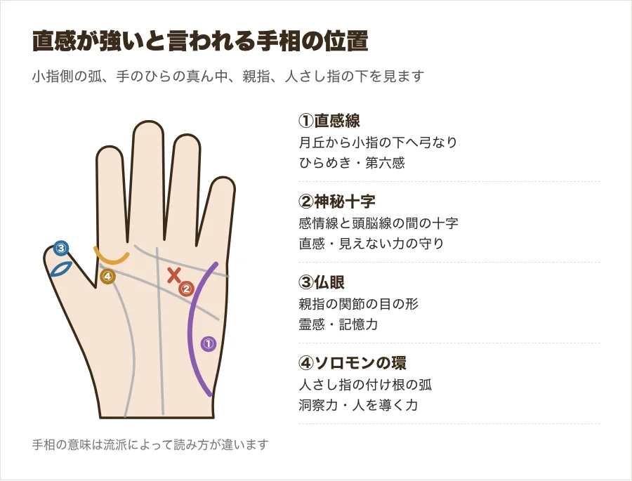 霊感や直感が強いと言われる手相の位置を示した図解。直感線・神秘十字・仏眼・ソロモンの環の4つ