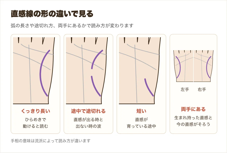 直感線の形の違い、くっきりした弓なり・途中で途切れる・短い・両手にあるの4つを並べた図解