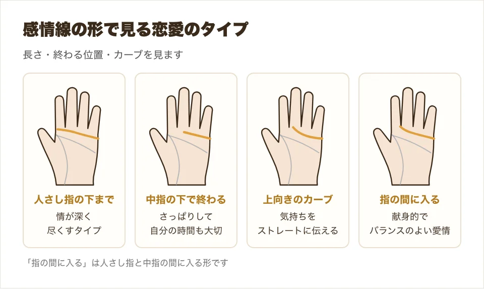 感情線の形の違いを、人さし指の下まで長い・中指の下で終わる・上向きのカーブ・人さし指と中指の間に入るの4つで比べた図解