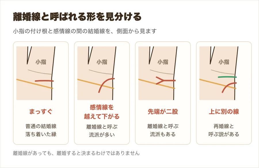 普通の結婚線と、先が下がって感情線を越える形・先端が二股の形・再婚線と呼ばれる形を拡大して比べた図解