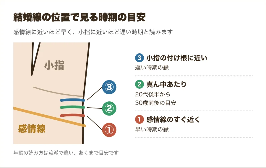 結婚線を見る範囲と、感情線寄り・真ん中・小指寄りで読む時期の目安を示した図解