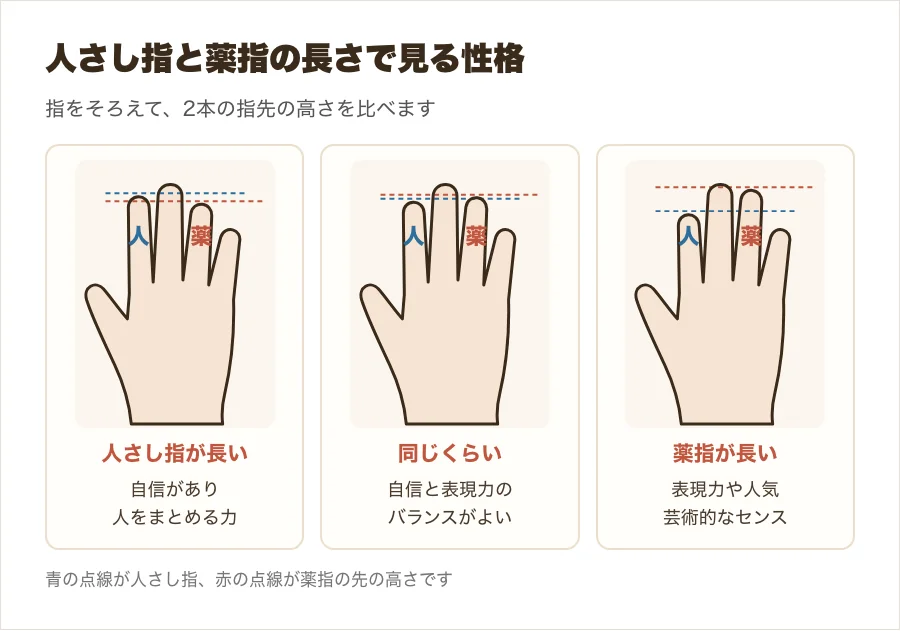人さし指と薬指の長さの比べ方と、人さし指が長い・同じくらい・薬指が長い手の性格を並べた図解