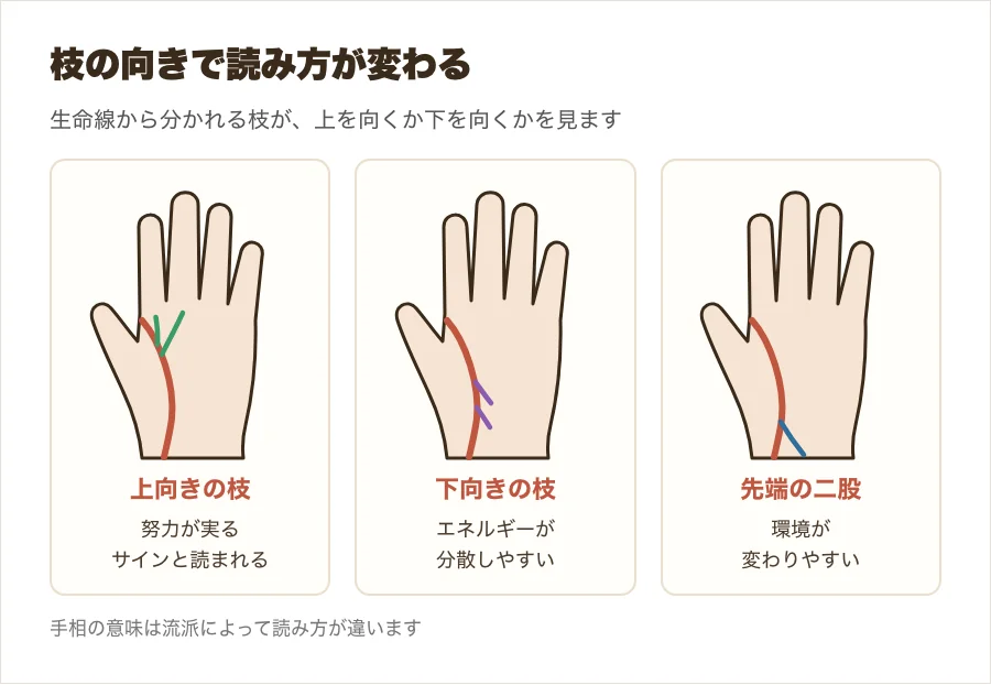生命線の枝分かれを、上向き・下向き・先端の二股の3つの小さな手のひらで比べた図解