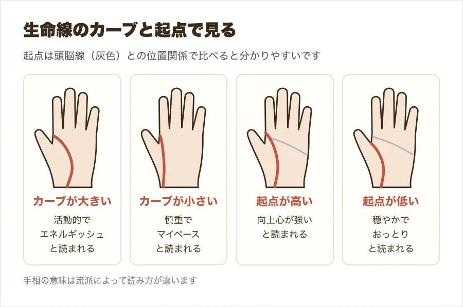 生命線のカーブの大きさと起点の高さの違いを、小さな手のひら4つで比べた図解