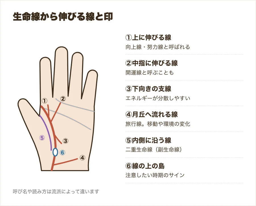 生命線から上・中指・下・月丘へ伸びる線と、生命線の横の線、島の位置を番号で示した図解