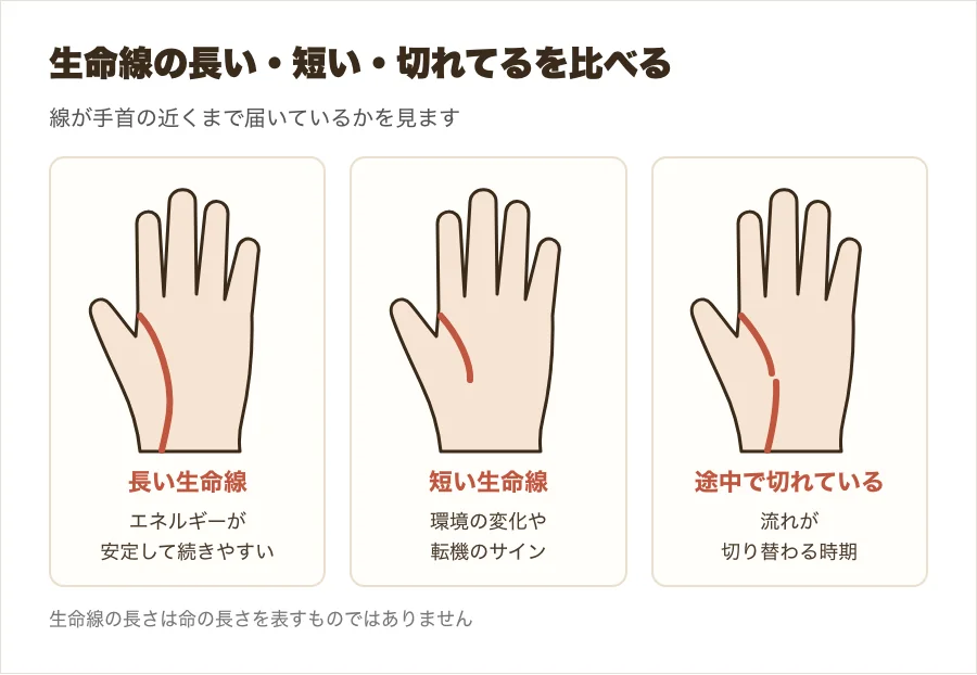 長い生命線・短い生命線・途中で切れている生命線を、小さな手のひら3つで比べた図解