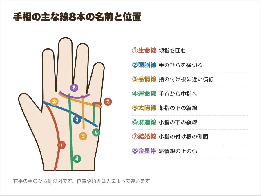 手相の主な線8本の名前と位置を番号で示した図