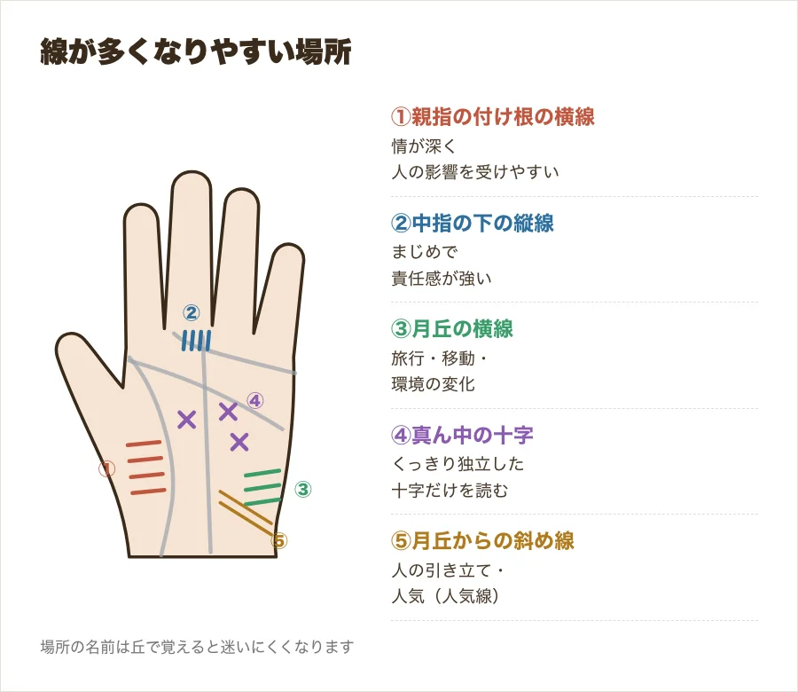 手のひらの図。親指の付け根の横線、中指の下の縦線、小指側のふくらみの横線、手のひらの真ん中の十字など、線が多くなりやすい場所を番号で示した図解