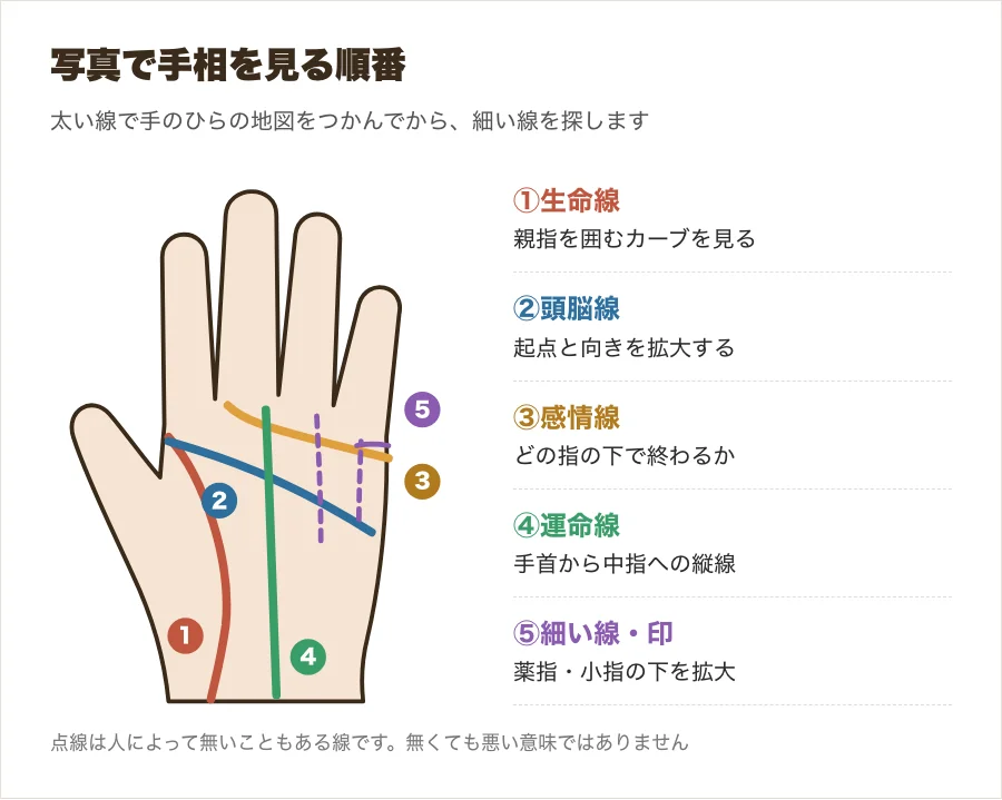 写真で手相を見る順番を、手のひらの主な線と細い線に番号をつけて示した図
