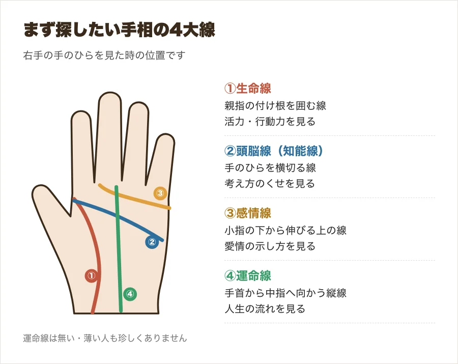 手相の4大線(生命線・頭脳線・感情線・運命線)の位置を色分けした手のひらの図