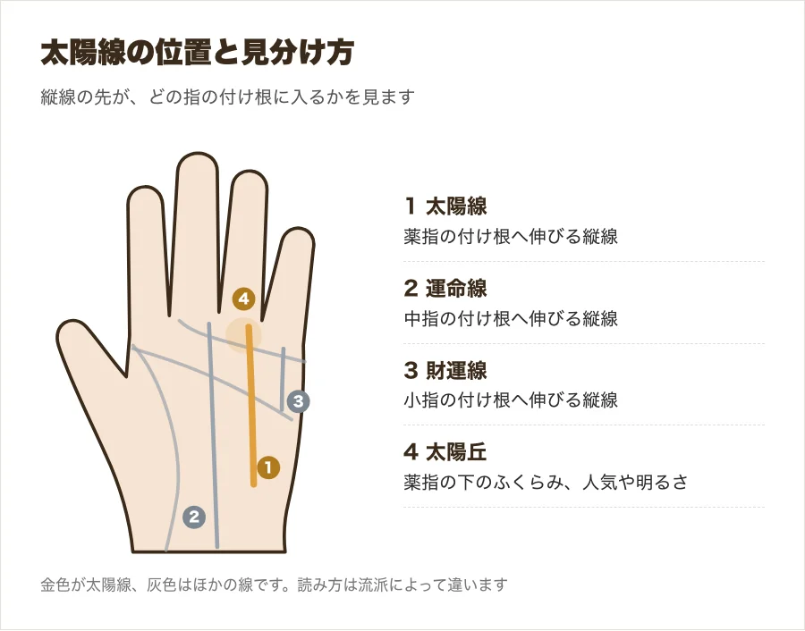 太陽線の位置と、ほかの縦線との違いを示した手のひらの図