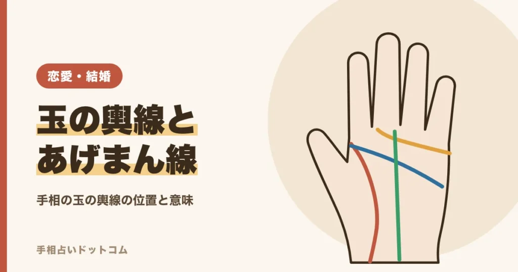 手相の玉の輿線・あげまん線とは？位置と意味