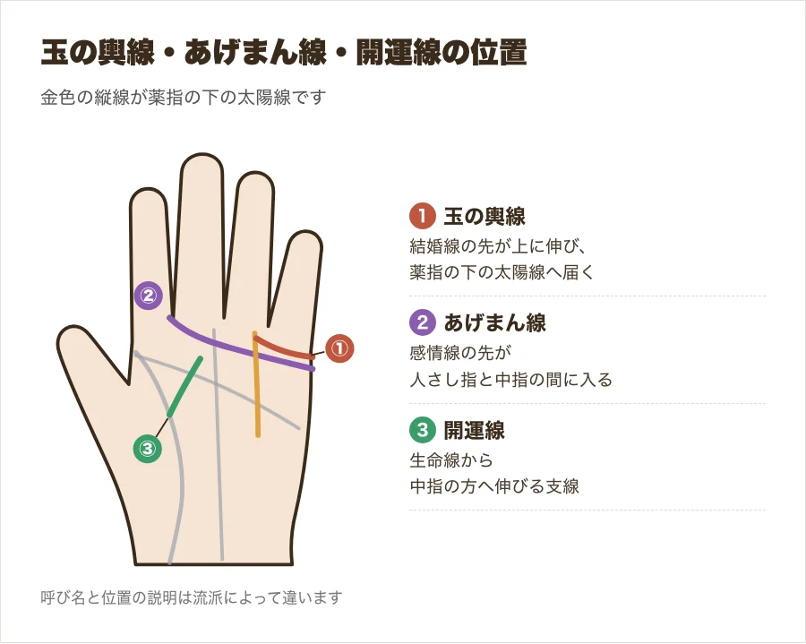 玉の輿線・あげまん線・開運線の位置を手のひらの図で示した図解