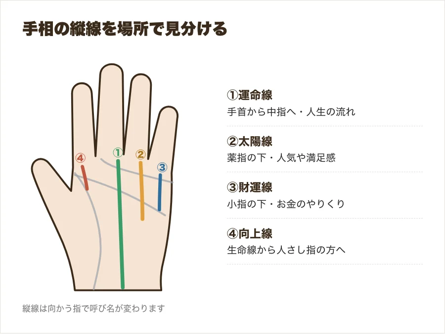 手のひらの縦線を場所別に示した図(運命線・太陽線・財運線・人さし指の下の縦線)