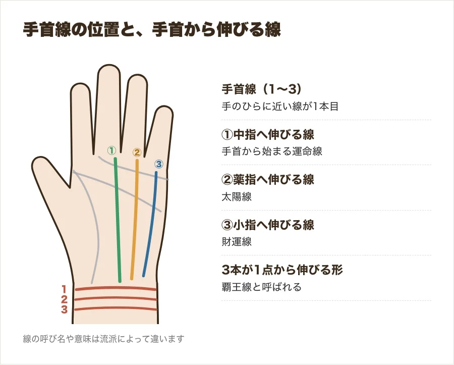 手首線(ブレスレット)の位置と、手首から上に伸びる運命線・太陽線・財運線を示した手のひらの図