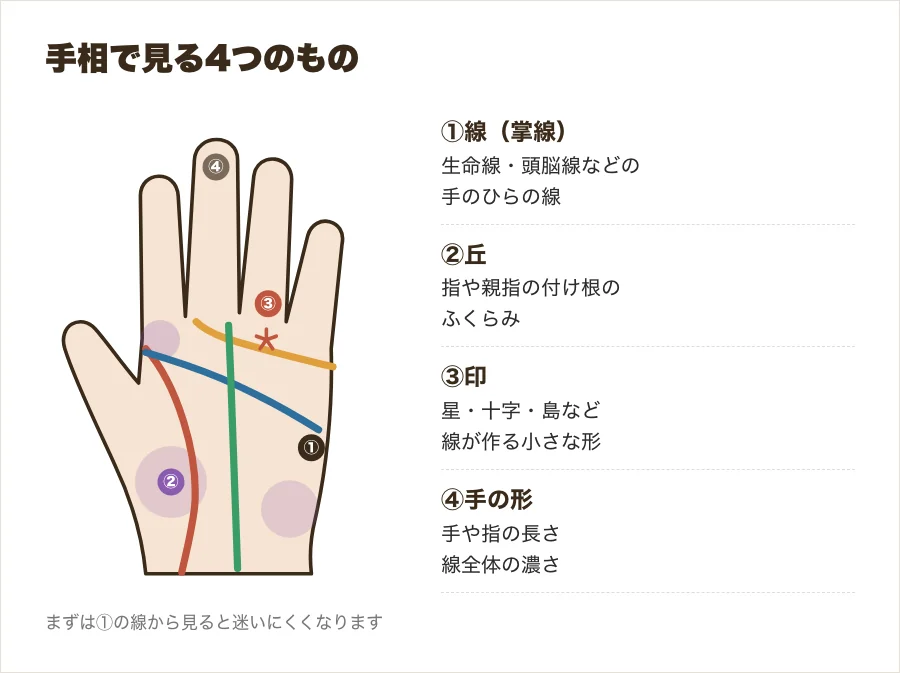 手相で見る4つのもの(線・丘・印・手の形)を示した手のひらの図