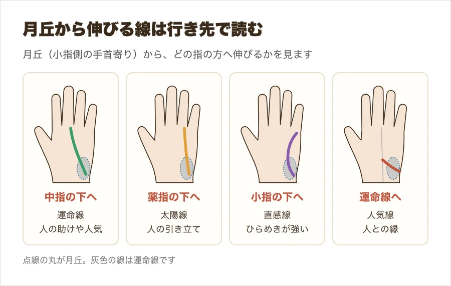月丘から伸びる線を、中指・薬指・小指・運命線へと行き先別に比べた図