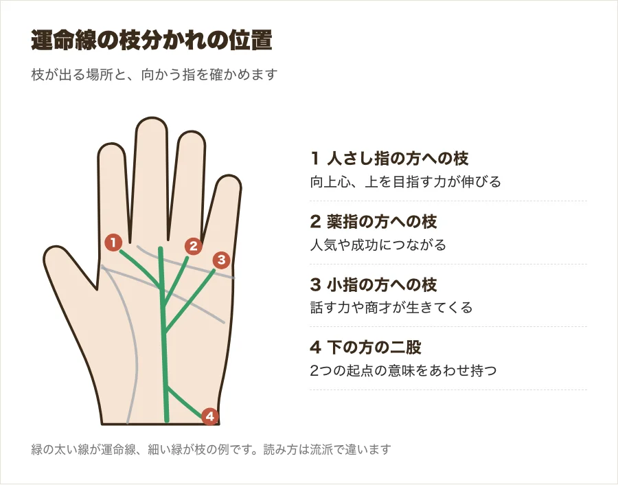 運命線の上に向かう枝と下の二股、2本ある形の位置を示した図