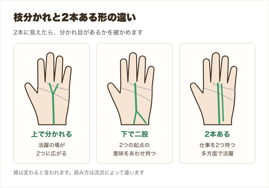 運命線の上の枝分かれと下の二股と2本ある形の違いを比べた図