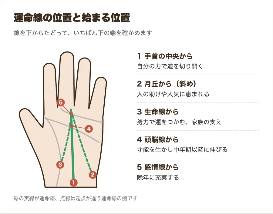 運命線の位置と始まる位置の違いを示した手のひらの図