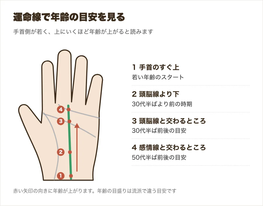 運命線で年齢の目安を見る流年法の図