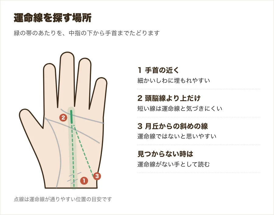 運命線がある位置と、見落としやすい場所を示した図