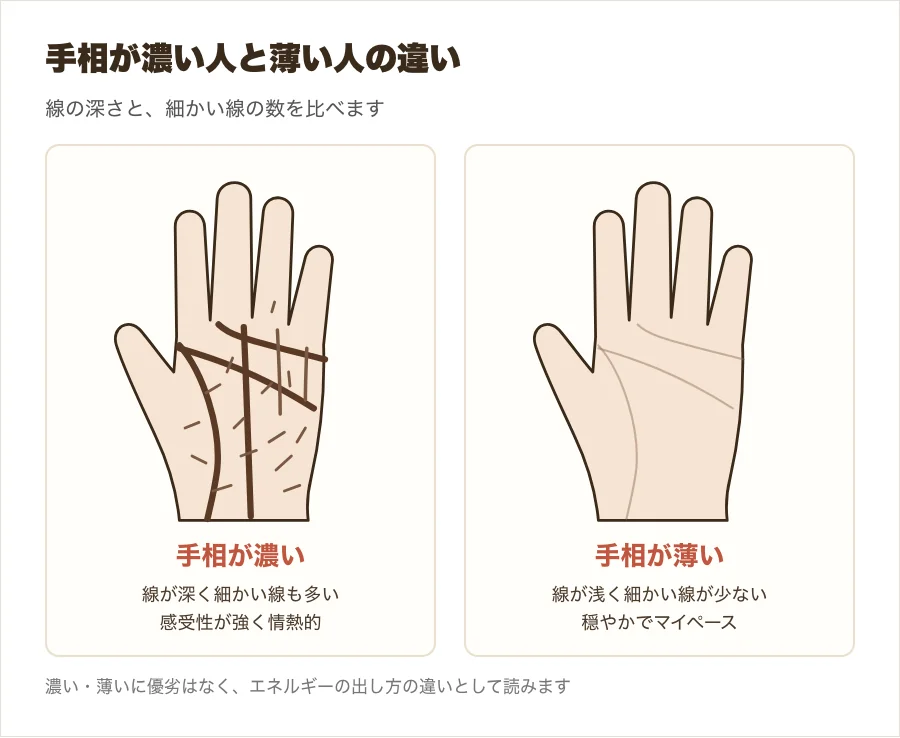 手相が濃い手と薄い手を並べて比べた図。濃い手は線が太く細かい線が多く、薄い手は線が細く少ない