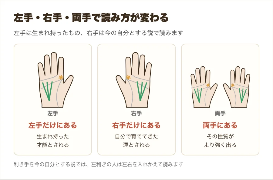 あったらやばい手相が左手だけ、右手だけ、両手にある場合の読み方を比べた図解