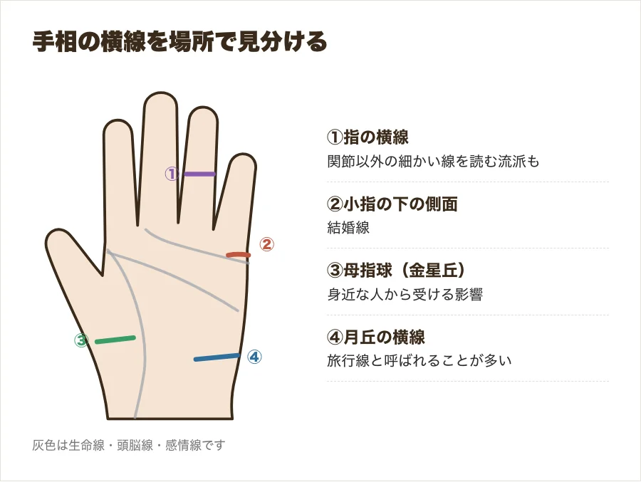 手相の横線を場所別に示した手のひらの図（指の付け根・小指の下・母指球・月丘）