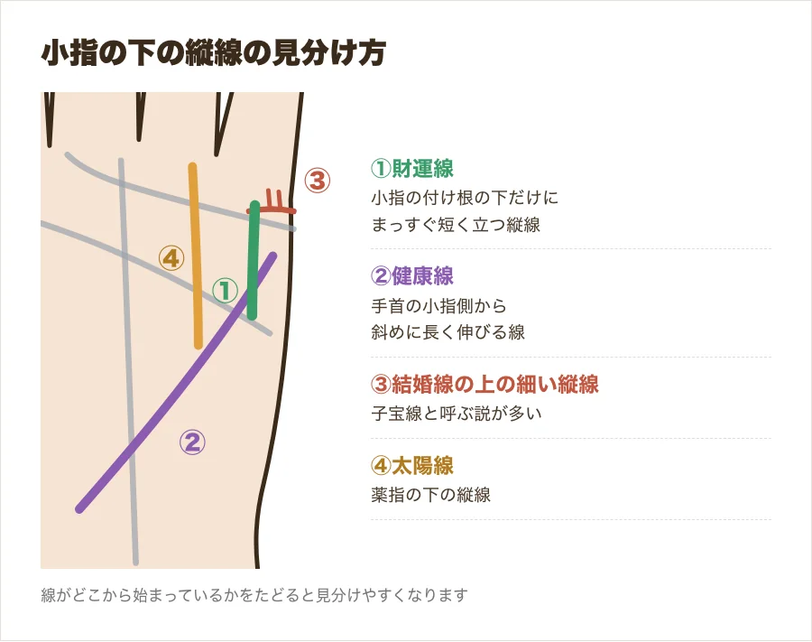 小指の下に出る縦線の見分け方。財運線・健康線・結婚線の上の細い縦線・太陽線を番号で示した図解