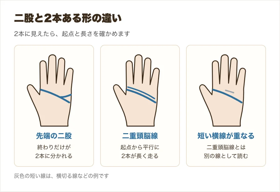 頭脳線の二股と二重頭脳線の違いを比べた図