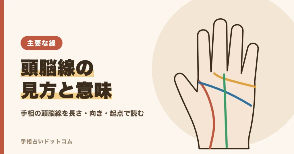 手相の頭脳線（知能線）の見方と意味