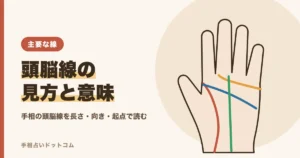 手相の頭脳線（知能線）の見方と意味