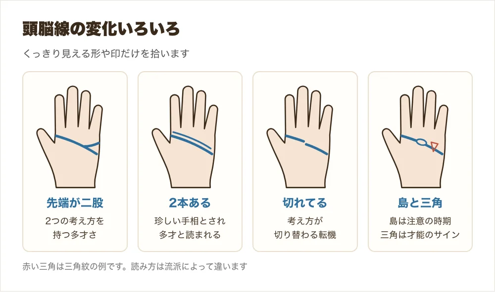 頭脳線の枝分かれ・切れ目・島・三角の形を描いた図