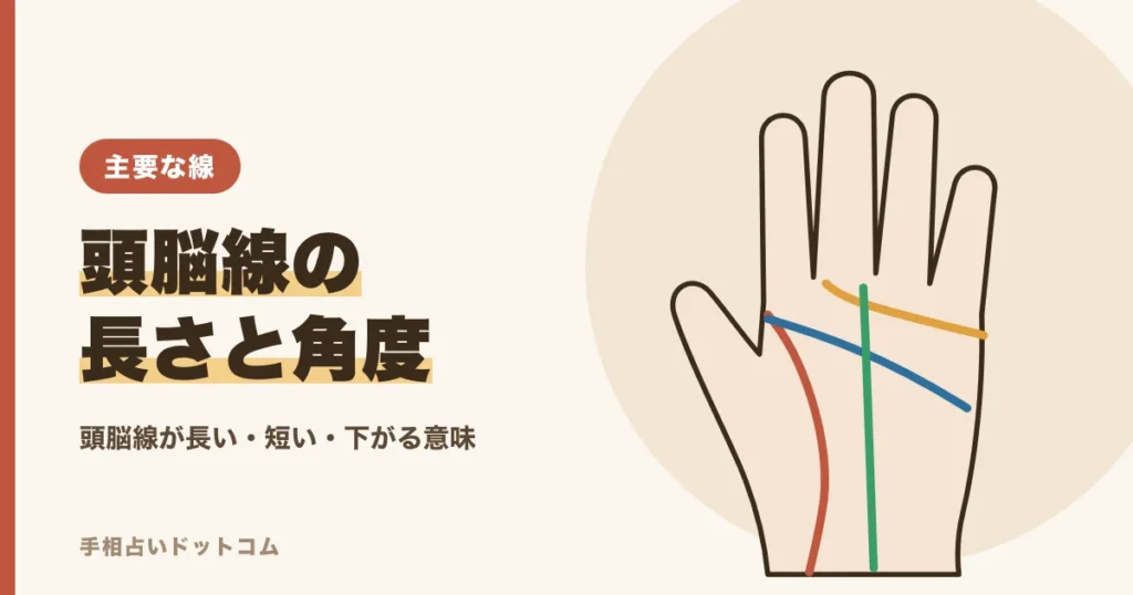 頭脳線が長い・短い・下がる意味と長さの見方