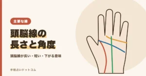 頭脳線が長い・短い・下がる意味と長さの見方