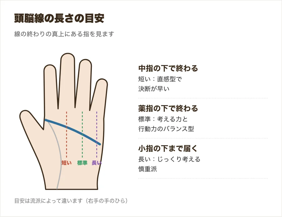 頭脳線の長さを指の位置で測る目安を示した図